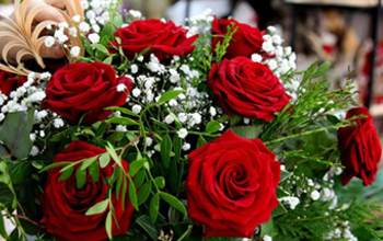 flores flores